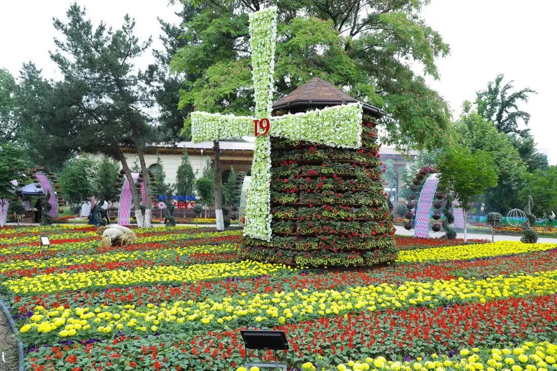 100+ yirik kompozitsiya namoyishi